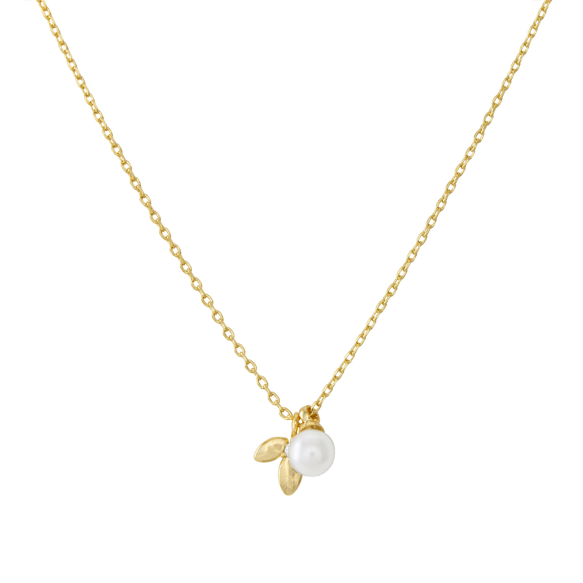 Collier Estrella Leaflet