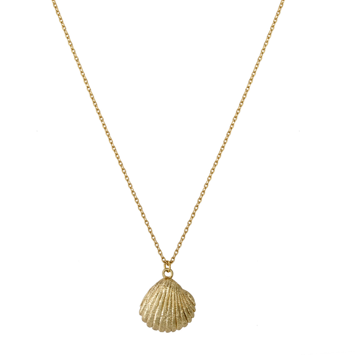 Rosalie Shell Pendant