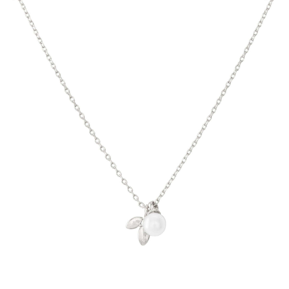 Collier Estrella Leaflet